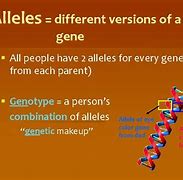 Image result for DNA Gene