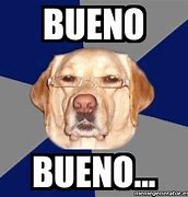 Image result for Bueno Dog Meme