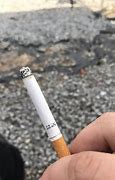 Image result for Shit Cigarettes