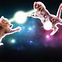 Image result for Birthday Space Cats