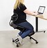 Image result for Ergonomic Chair Back Support