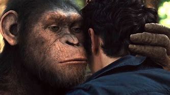 Image result for Caesar Ape Meme