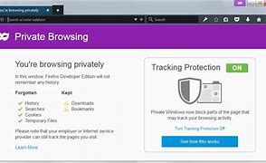 Image result for Firefox Private Browsing Downloads