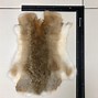 Image result for Rabbit Fur Pelt