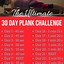 Image result for 30-Day Plank Challenge PDF