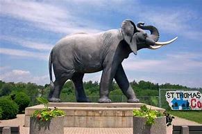 Image result for Jumbo Elephant