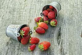 Image result for Different Color Strawberries