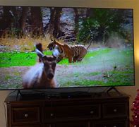 Image result for 85 Inch TV Next to Person
