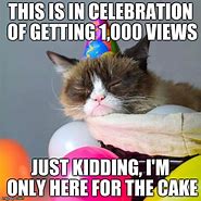Image result for grumpiest cats party memes
