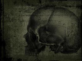 Image result for Creepy Gothic Skull