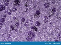 Image result for Purple Sponge Texture