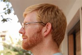 Image result for Side Profile Prince with Beard