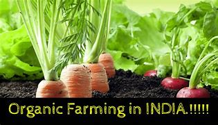 Image result for Organic Farming India