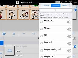 Image result for Proloquo2Go Expressions