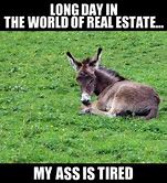 Image result for Real Estate Humor Animals
