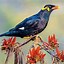 Image result for Arizona State Bird Drawing