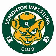 Image result for Wrestling