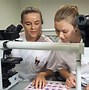 Image result for Biomedical Science