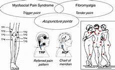 Acupuncture Therapy Mechanism Of Action Efficacy And