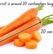 Image result for How Many Centimeters Are in 1 Meter