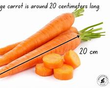 Image result for Images of Long Things
