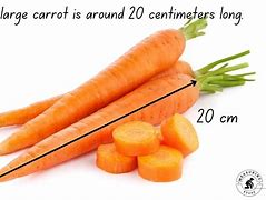 Image result for How Long Is 1.5 Cm