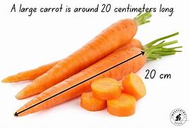 Image result for What Is 20 Centimeters