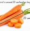 Image result for How Long Is 20 Cm