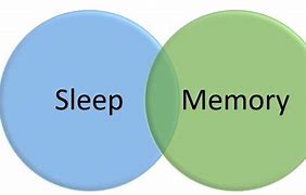 Image result for Sleep and Memory Study