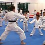 Image result for Popular Types of Karate