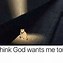 Image result for Cats Rule Meme