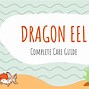Image result for Dragon Eel