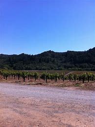 Image result for Selby Syrah Dry Creek Valley