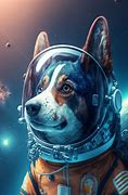 Image result for Astronaut Dog Meme