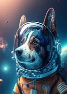 Image result for Astronaut Dog Wallpaper