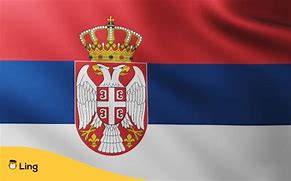 Image result for serbian flags color