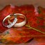 Image result for Ring Size W