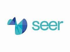 Image result for Seer Bit Logo