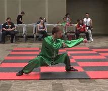 Image result for Mantis Style Kung Fu