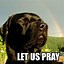 Image result for Praying to Xbox Memes