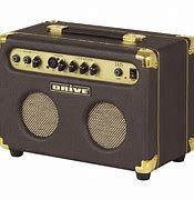 Image result for Electric Acoustic Guitar Amp