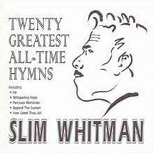 Image result for People Who Look Like Slim Whitman