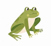 Image result for Sad Frog Funny