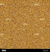 Image result for White Mustard Grain