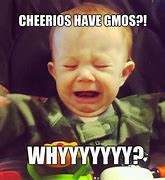 Image result for GMO-free Foods