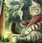 Image result for Cat Smoking a Blunt
