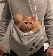 Image result for Cat Clothes Hoodie