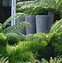 Image result for Modern House Garden