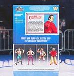 Image result for WWE Action Figures 3 Pack