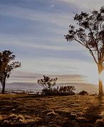 Image result for Ray White Nathan
